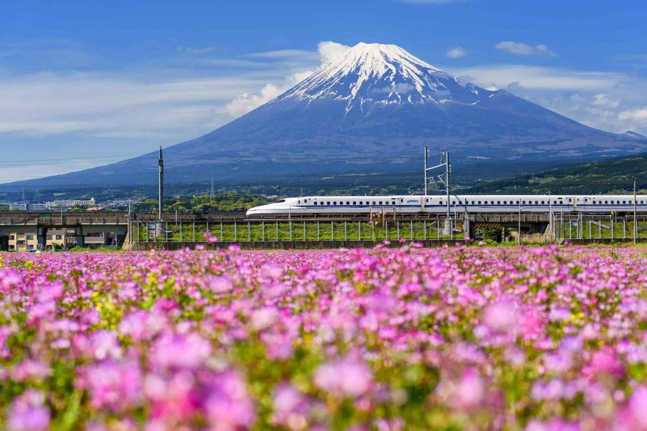 https://spanglerfuntravels.com/wp-content/uploads/2018/09/tour-osaka-04-1280x854.jpg